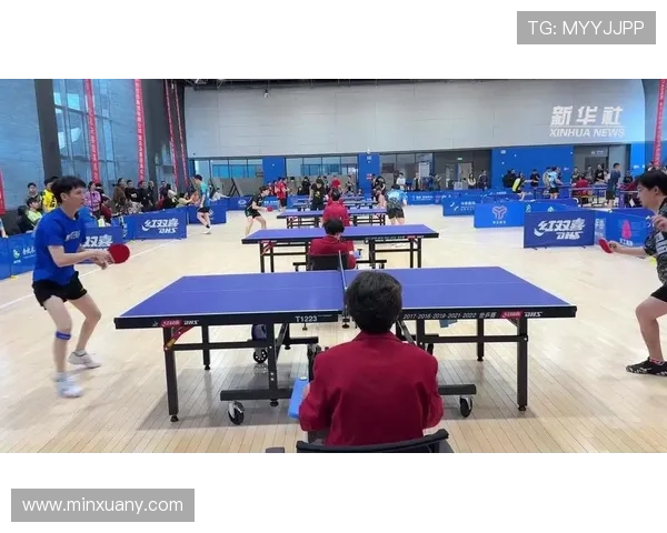 独家深度解析杭州乒乓球队灵活性与其他球队的对比优势与不足 独家深度解析杭州乒乓球队灵活性与其他球队的对比优势与不足