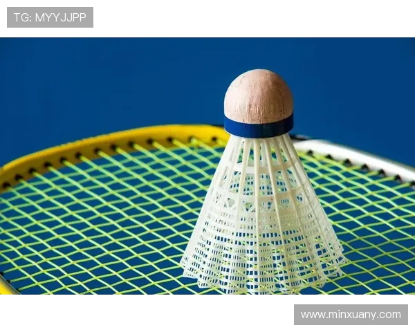 南京羽毛球队在锦标赛中的默契配合与战术分析探讨